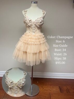 Champagne Tiered Tulle Mini Dress with Floral Appliqué